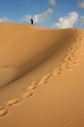 sand dune conquered